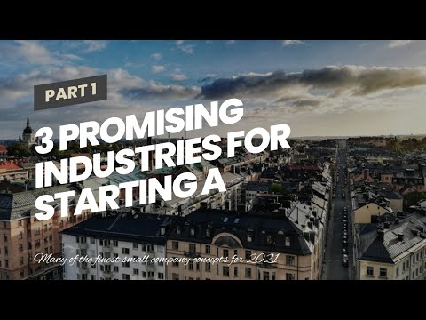 3 Promising Industries for Starting a Business During the – An Overview [Video]