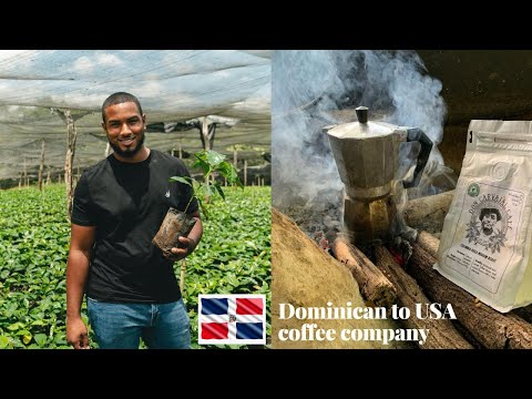HOW TO START A BUSINESS IN DOMINICAN REPUBLIC | Dominican Coffee Company [Video]