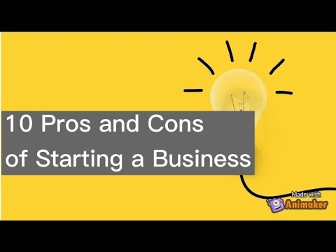10 Pros and Cons of Starting a Business – Young Entrepreneurs [Video]