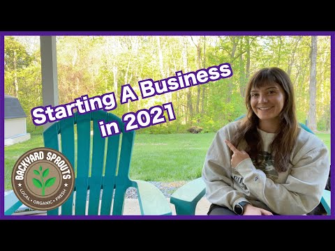How To Start A Business in 2021 [Video]