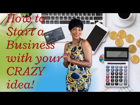 How to Start a Business with your CRAZY idea!! [Video]
