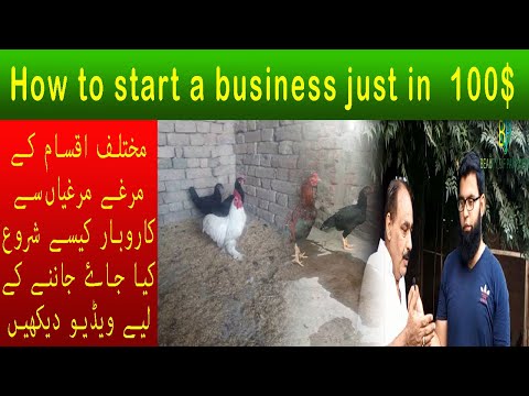 How to start a business just in 100$ – beauty of Pakistan [Video]