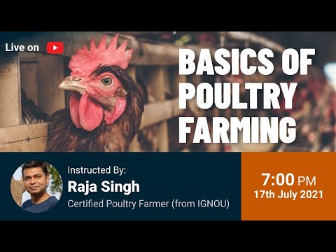 🔴 LIVE: [7PM, 17th July]: How to start a business in Poultry Farming? [Video]