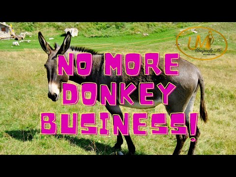 Donkey Business | 7 Reasons Your Business is not Surviving | How to Start a Business that Prospers [Video]