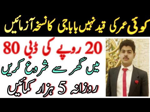 How to start a business with low investment | daily profit 5 thousand | hazma pakhi business [Video]