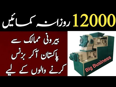 High Profit Business Idea For Overseas Pakistanis l Earn Daily 12000 Rs By This High Profit Business [Video]