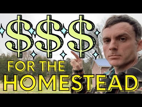 I’m Starting A Business (Surprisingly Profitable Side-Hustle) [Video]