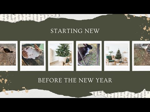 Starting a Business/ Staring a Homestead / Starting to coupon again Vlog 1 [Video]
