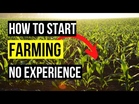 How To Start A Agriculture Business 2022 – How To Start A Farming Business [Video]