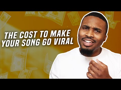 How Much Should I Spend to Blow my Song Up? [Video]