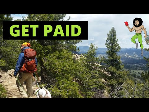 Get Paid To… Get Paid | Best Side Hustle Idea 2022 [Video]