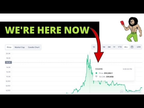 WE’RE HERE: Bitcoin Price Market Cycle | My Opinion #shorts [Video]