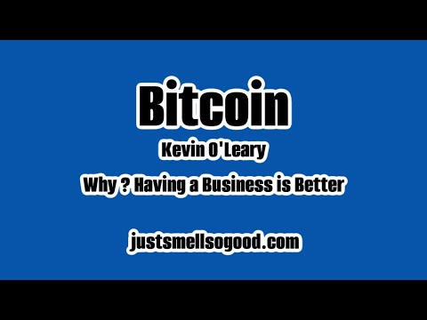 How it’s Better to start a Business In n stead of Bitcoin Kevin O’Leary Shark Tank Cashflow money [Video]