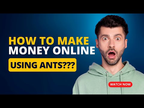 A $1000/Day Online using ants? (Make Money Online) [Video]