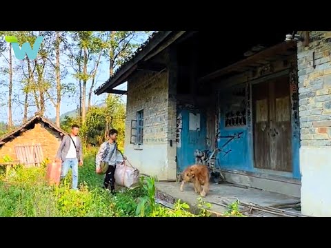 Returning home to start a business, the first thing is renovate the dilapidated old house [Video]