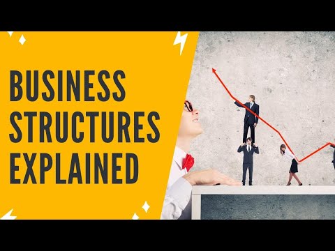 BUSINESS STRUCTURES EXPLAINED: How To Start A Business + Choose The RIGHT Business Structure For You [Video]