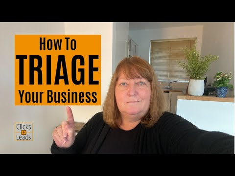 How To Triage Your Business (Or Your Website) [Video]