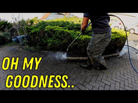 Full REFUND! Months After Pressure Washing This FILTHY Driveway. *FLAWLESS BLESSINGS* [Video]