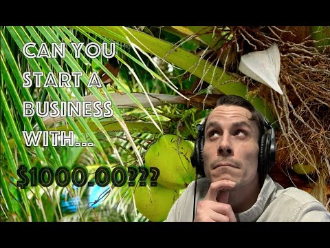 Starting A Business With $1000.00 | 2023 | [Video]