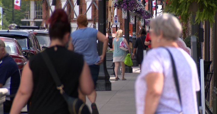 Greater Napanee Pride starts inclusive business directory [Video]