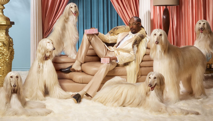 Snoop Dogg becomes shareholder in Klarna [Video]