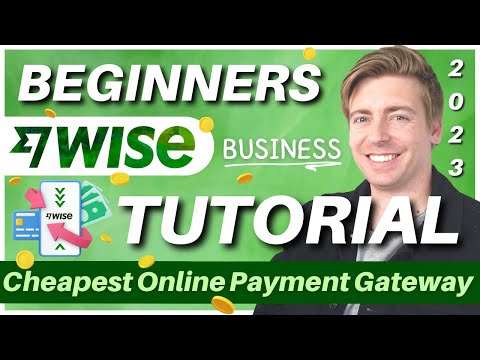 How to use WISE Business | Cheapest Online Payment Gateway (Wise Tutorial 2023) [Video]