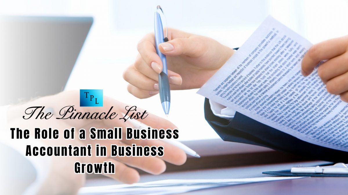 The Role of a Small Business Accountant in Business Growth  The Pinnacle List [Video]