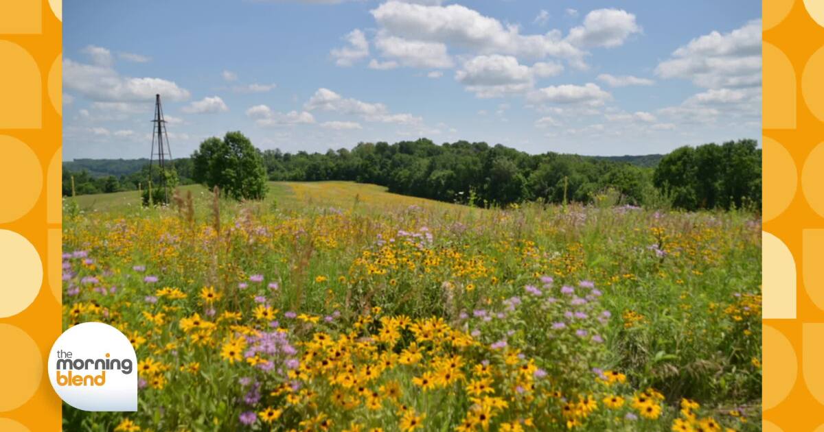 Connecting with Nature in a Time of Uncertainty [Video]