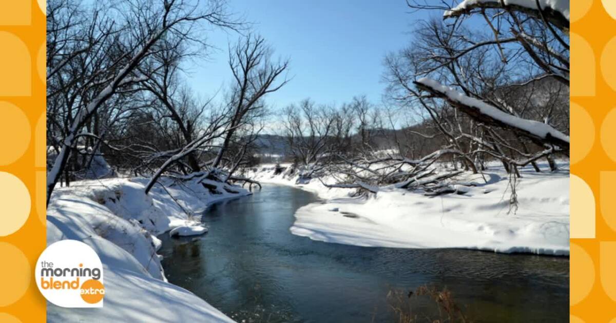 Blend Extra: Connecting with Nature in a Time of Uncertainty [Video]