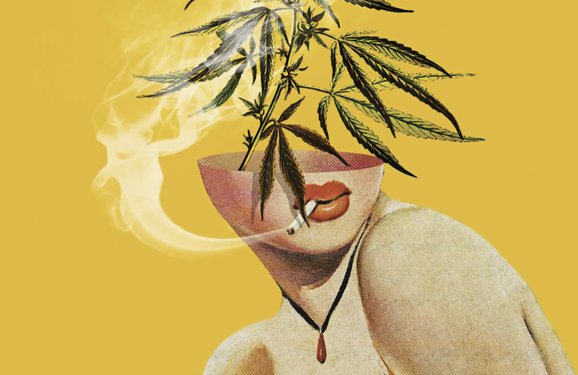 Craft Cannabis Brands vs. MSOs: The Real Impact on Your High | stupidDOPE [Video]