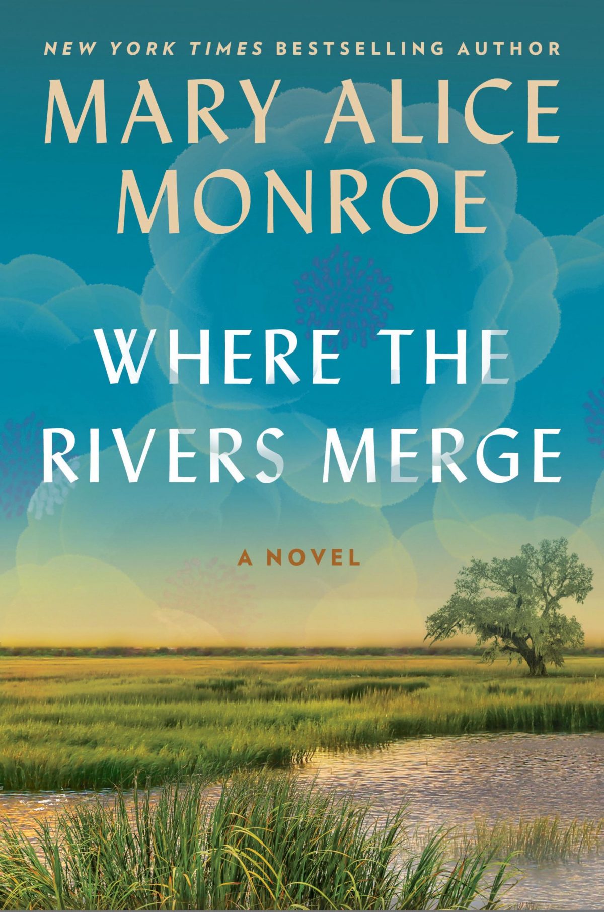 Mary Alice Monroe Book Launch & Luncheon – May 14 | Event [Video]